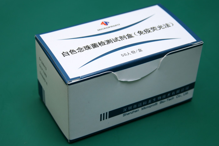 白色念珠菌.jpg